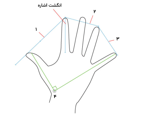 نسبت‌های طراحی آناتومی دست