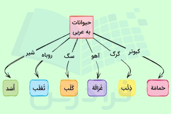انواع حیوانات در عربی