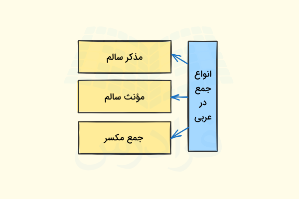 انواع جمع در عربی