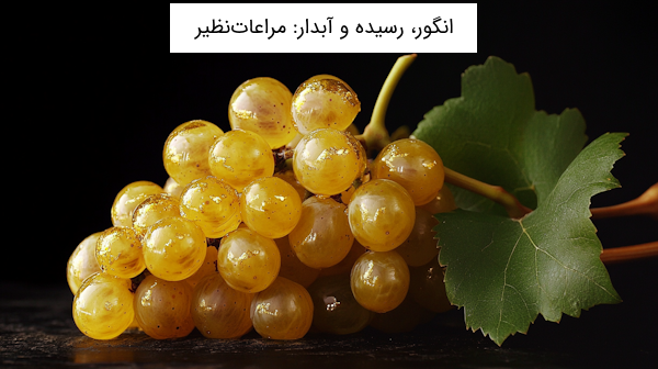 مثال مراعات نظیر