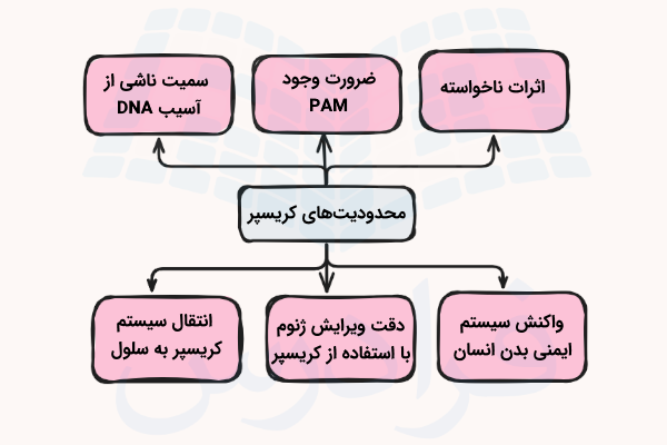 نموداری از محدودیت های سیستم کریسپر