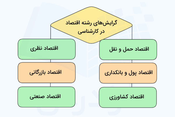 گرایش های رشته اقتصاد در مقطع کارشناسی یا لیسانس