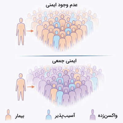 مقایسه ایمنی جمعی ایجاد شده به دلیل واکسیناسیون با شرایطی که افراد جامعه واکسن نزده اند