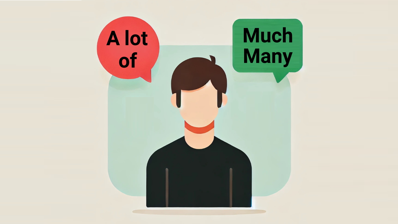تفاوت Much, Many و A Lot Of در انگلیسی – راهنمای جامع + مثال