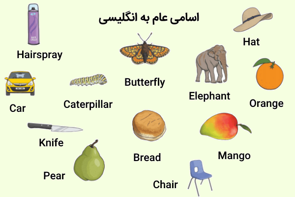 اسامی عام به انکلیسی با تصویر 