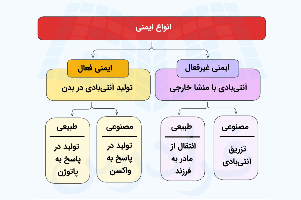 نموداری از انواع ایمنی و نحوه ایجاد آن ها