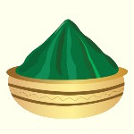 شوید به عربی