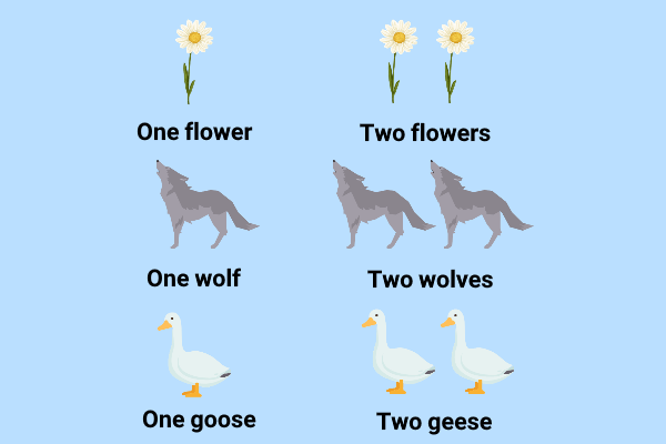 اسامی جمع بی‌قاعده در انگلیسی