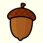 بلوط به عربی