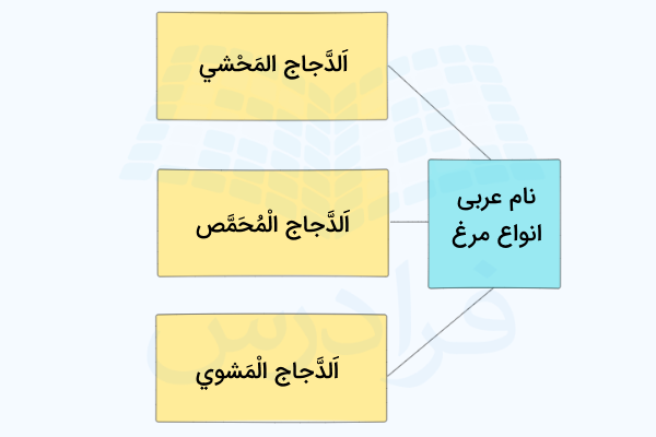 انواع مرغ به عربی - اسامی خوراکی ها به عربی