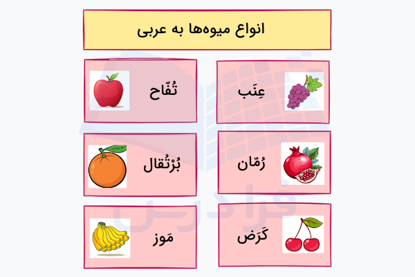 انواع میوه ها به عربی