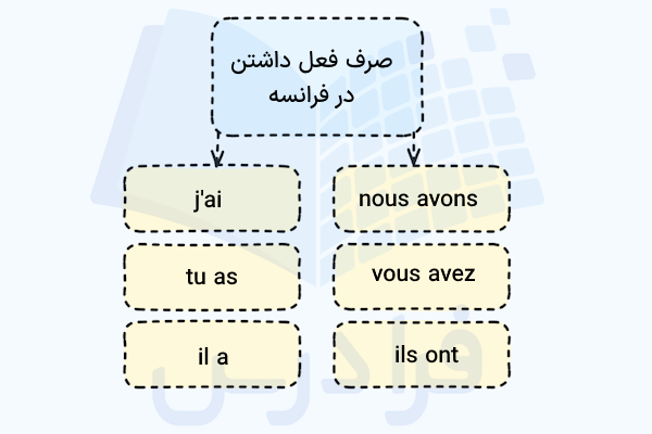 صرف فعل داشتن در فرانسه در زمان حال