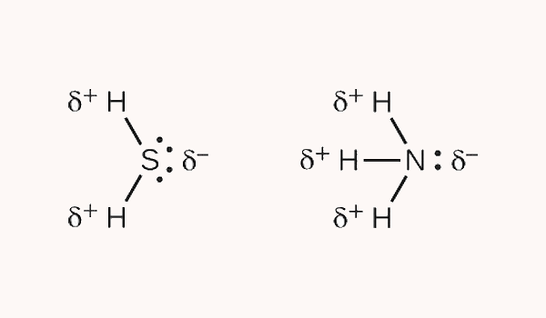 دو مولکول گوگرد دی اکسید و آمونیاک با علامت قطبیت