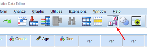 برچسب در spss