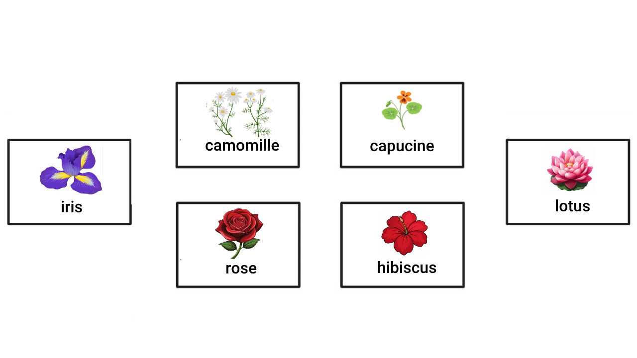 اسم گل ها به فرانسوی – به زبان ساده + تلفظ