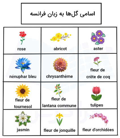 اسم گل‌ ها به فرانسوی