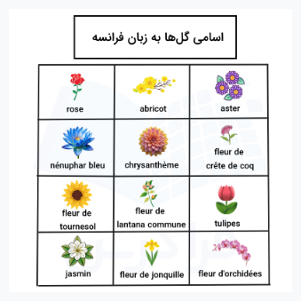 اسم گل‌ ها به فرانسوی