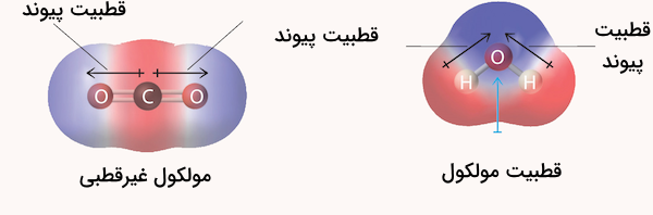 مولکول آب و کربن دی اکسید و قطبیت