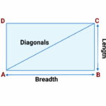 مستطیل به انگلیسی – به زبان ساده + مثال و تصویر