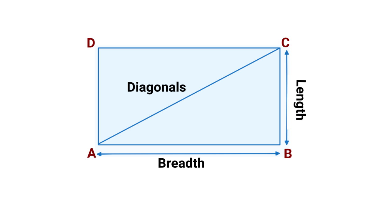 مستطیل به انگلیسی – به زبان ساده + مثال و تصویر