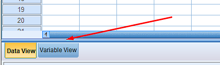 دو زبانه یا نما در پنجره اصلی spss