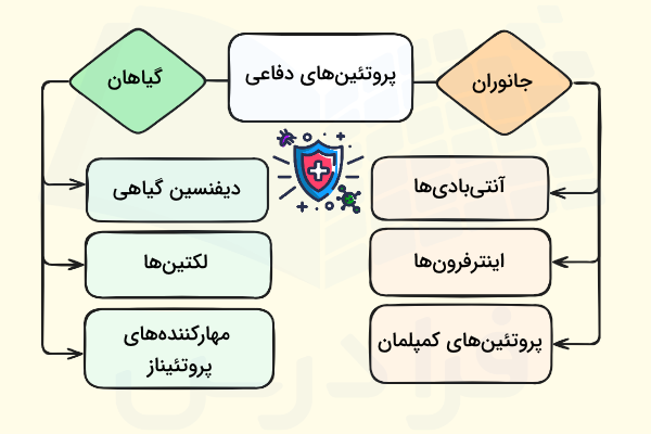 انواع پروتئین های دفاعی در گیاهان و جانوران