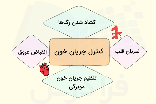 روش های کنترل جریان خون در دستگاه گردش خون بسته 