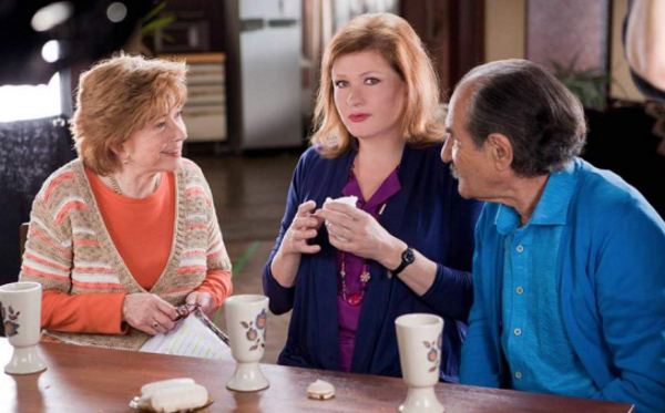 یادگیری زبان فرانسه با سریال Scenes de menages