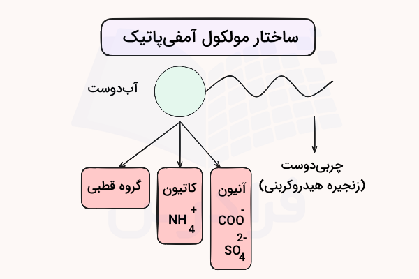 نمودار ساختار مولکول آمفی پاتیک