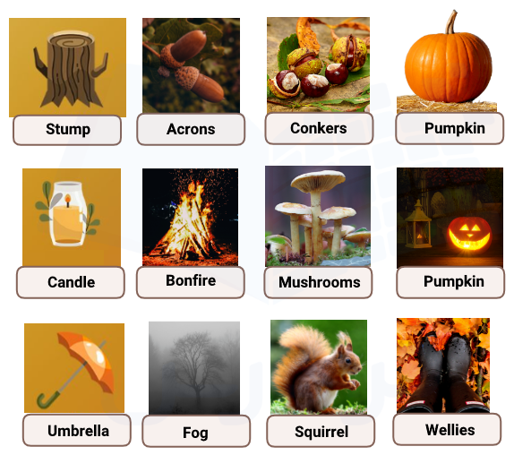 اسامی لغات مربوط به فصل پاییز به انگلیسی