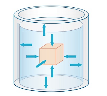 تصویری از نیروهای وارد بر جسم غوطهور در یک مایع
