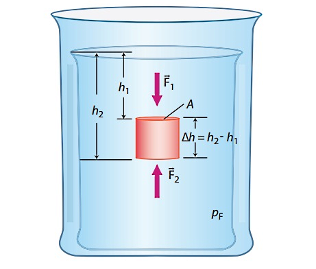 نیروی شناوری وارد بر جسم داخل یک مایع
