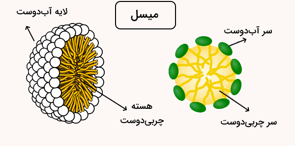 کره ها و زنجیره های متصل به آن‌ها که یک کره بزرگ‌تر را تشکیل داده‌اند.