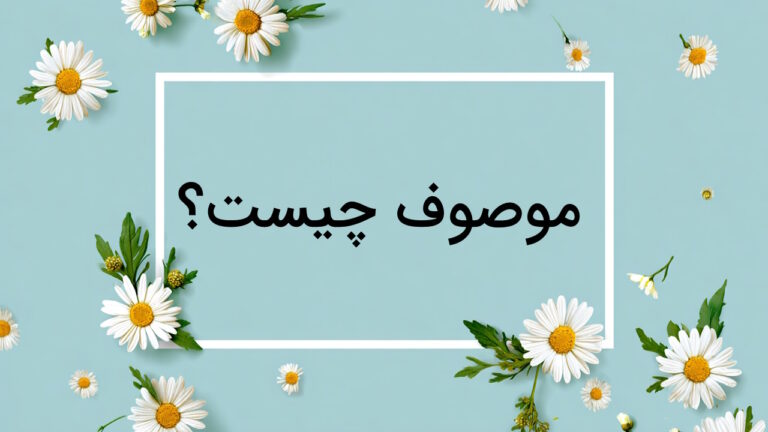 موصوف چیست؟ – تعریف به زبان ساده با مثال و تمرین