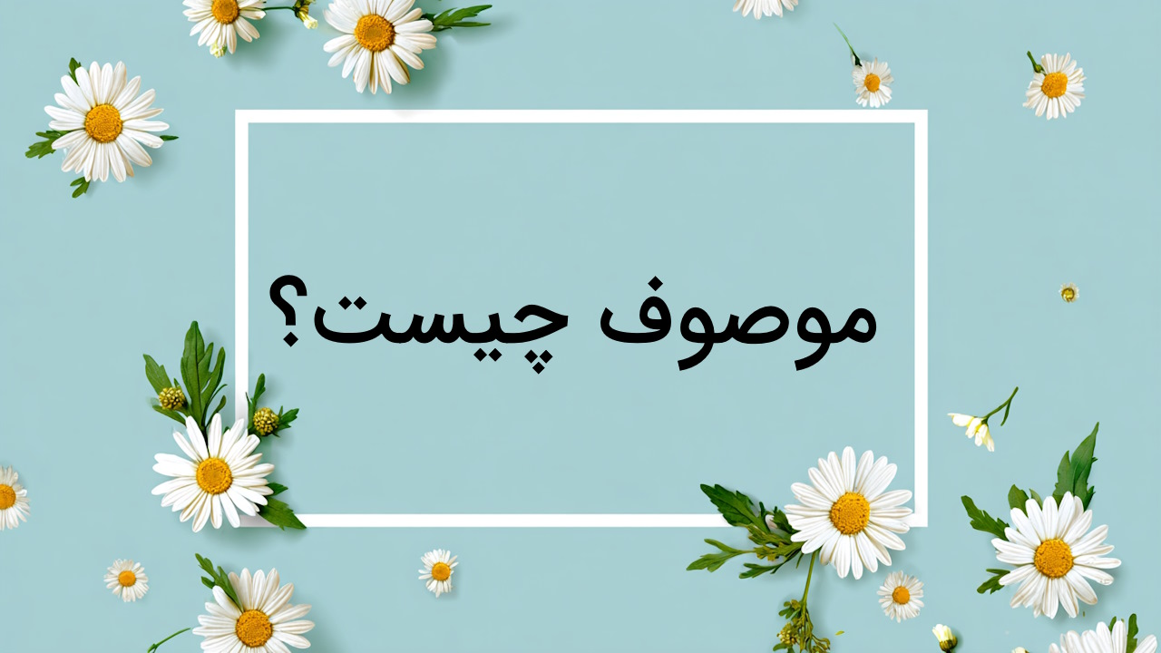 موصوف چیست؟ – تعریف به زبان ساده با مثال و تمرین