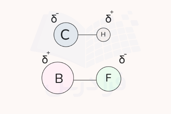 دو جفت دایره رنگی متصل به هم