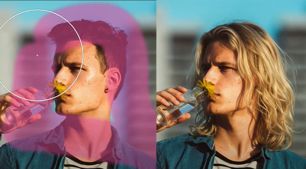 دو تصویر از سک پسر با موهای بلند و کوتاه