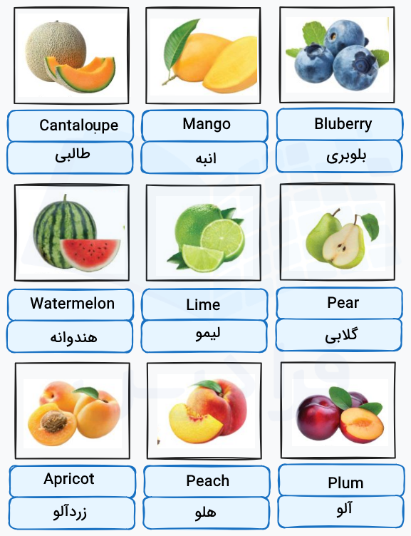 میوه‌های تابستانه به انگلیسی