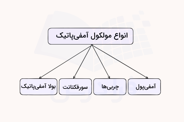 نمودار انواع مولکول آمفی پاتیک