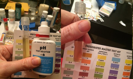 یک کاغذ با راهنمای رنگی و محلول‌های رنگی در لوله آزمایش