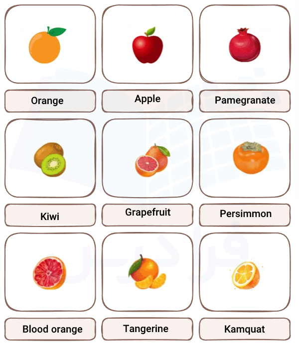 میوه‌های زمستان به انگلیسی