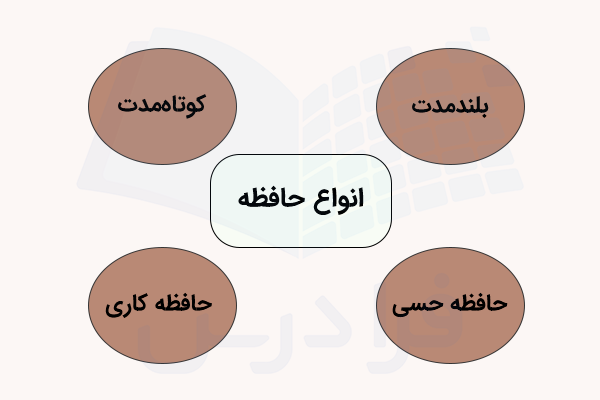 انواع حافظه - اصطلاحات روانشناسی