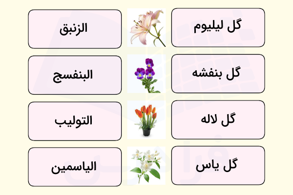 گل‌های عربی