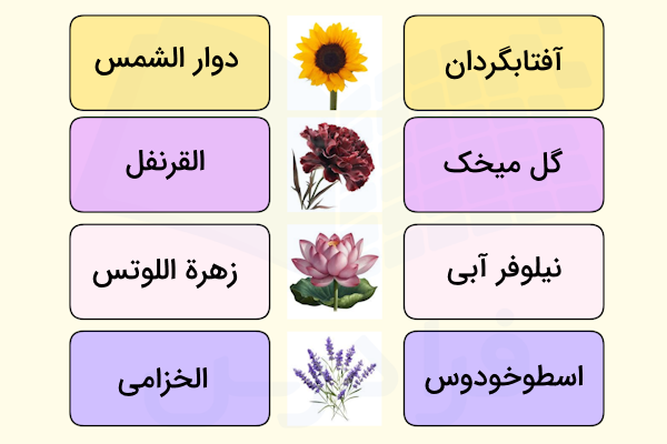 اسم گل ها در عربی