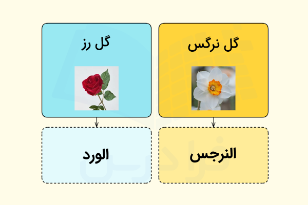 گل رز به عربی و گل نرگس به عربی