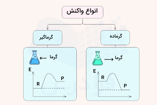 نمودار تفاوت سامانه و نمودار انرژی واکنش گرماده و گرماگیر