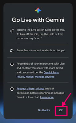 تایید قوانین و دستورالعمل های Gemini Live برای صحبت با هوش مصنوعی گوگل