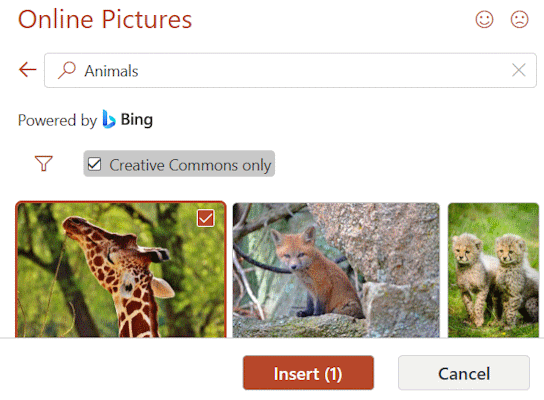 وارد کردن عکس انتخاب شده-insert-pic