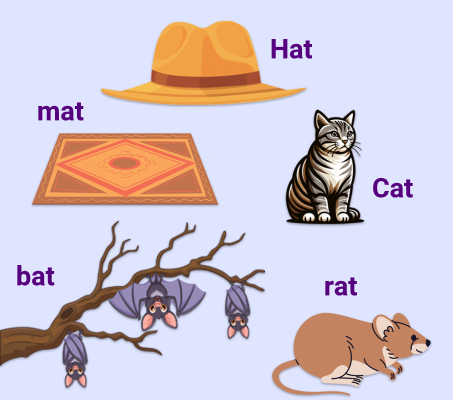 کلمات هم خانواده در انگلیسی با تصویر