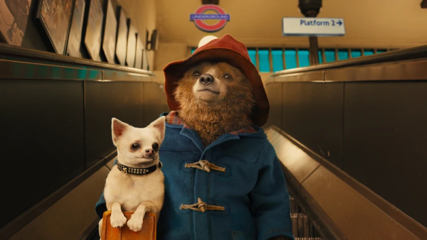 انیمیشن Paddington